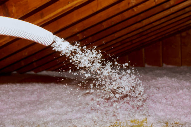 Best Insulation Installation Services in Indian Lake, MO